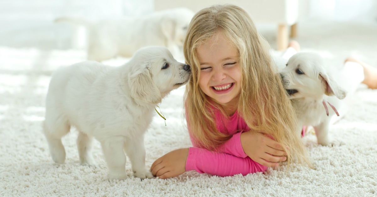 Navigating Puppy Fear Development Stages